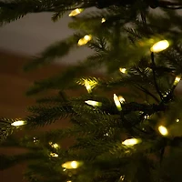 Nearly Natural Pre-Lit Artificial Natural Fresh Cut Fir With Instant Connect Technology And 230 Color Changing Led Dewdrop Lights 6 Foot Pre-Lit Fir Christmas Tree