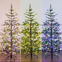 Nearly Natural Pre-Lit Artificial Natural Fresh Cut Fir With Instant Connect Technology And 230 Color Changing Led Dewdrop Lights 6 Foot Pre-Lit Fir Christmas Tree