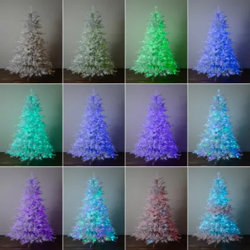 Nearly Natural 7ft Pre-Lit Artificial White California Spruce With 440 Color Changing Led Lights 7 Foot Pre-Lit Spruce Christmas Tree