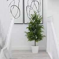 Nearly Natural Artificial Norfolk Pine Foot Potted Pine Christmas Tree