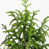 Nearly Natural Artificial Norfolk Pine Foot Potted Pine Christmas Tree