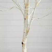 Nearly Natural Pre-Lit Artificial White Birch  With 90 White Led Lights 6 Foot Pre-Lit Birch Christmas Tree
