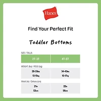 Hanes Potty Trainer Toddler Girls 6 Pack Briefs Tguptb
