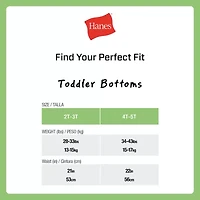 Hanes Toddler Girls 10 Pack Briefs Tucbrf