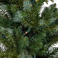 Northlight Potted Clear Lights 4 Foot Pre-Lit Spruce Christmas Tree