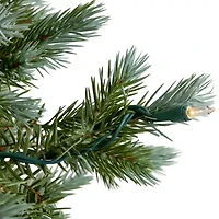 Northlight Potted Clear Lights 4 Foot Pre-Lit Spruce Christmas Tree