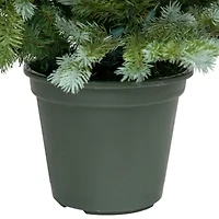 Northlight Potted Clear Lights 4 Foot Pre-Lit Spruce Christmas Tree