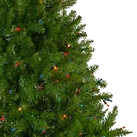 Northlight Northern 6 1/2 Foot Pre-Lit Pine Christmas Tree