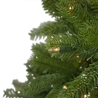 Northlight Palisades Fir 6 Foot Pre-Lit Fir Christmas Tree