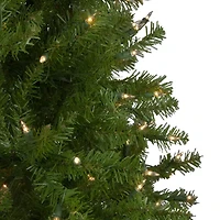 Northlight Full Northern 4 Foot Pre-Lit Pine Christmas Tree