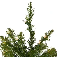 Northlight Full Northern 4 Foot Pre-Lit Pine Christmas Tree