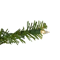 Northlight Full Northern 4 Foot Pre-Lit Pine Christmas Tree