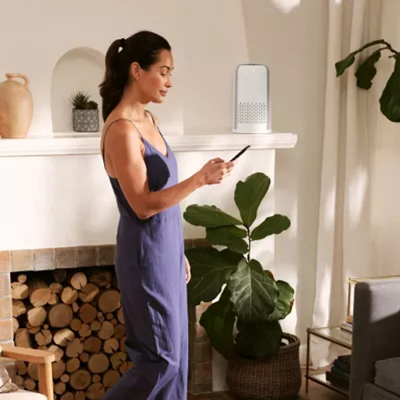 HoMedics 360-Degree Hepa Small Room Air Purifier