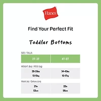 Hanes Potty Trainer Toddler Boys 6 Pack Boxer Briefs Tublbb