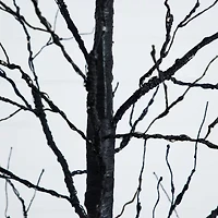 Nearly Natural 8ft Pre-Lit Halloween Twig Artificial Tree
