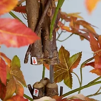 Nearly Natural 8ft Deluxe Maple Artificial Tree