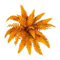 Nearly Natural 6-pc. Artificial Plant