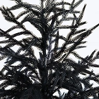 Nearly Natural 5ft Real Touch Black Norfolk Pine Artificial Tree