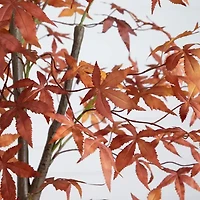 Nearly Natural 7ft Japanese Maple Fall Artificial Tree