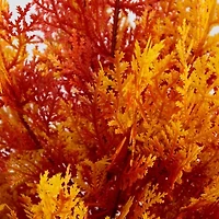 Nearly Natural 3ft Uv Resistant Autumn Cedar Indoor Outdoor Artificial Tree