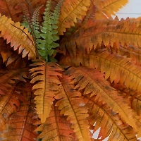 Nearly Natural 2-pc. Artificial Plant