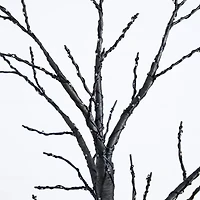 Nearly Natural 6ft Pre-Lit Halloween Twig Lighted Indoor Artificial Tree