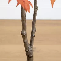 Nearly Natural Indoor Artificial Tree