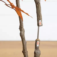 Nearly Natural Indoor Artificial Tree