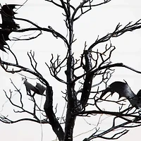 Nearly Natural 4ft Pre-Lit Halloween Twig Artificial Tree
