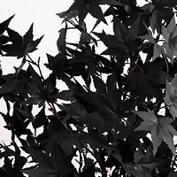 Nearly Natural 5ft Pre-Lit Black Maple Artificial Tree