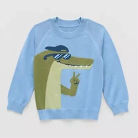 Okie Dokie Toddler & Little Boys Crew Neck Long Sleeve Pullover Sweater