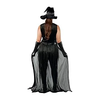 Womens Plus Raven Witch Costume