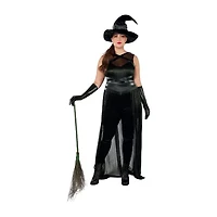 Womens Plus Raven Witch Costume