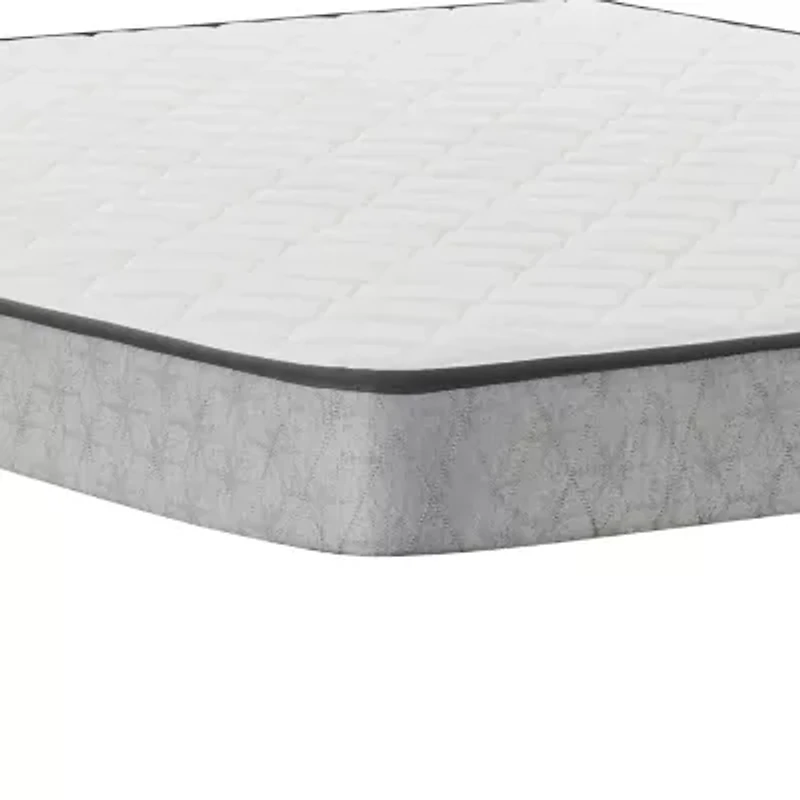 Sealy Essentials Peninsula 5.5" Medium Tight Top - Mattress Only