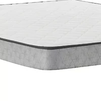 Sealy Essentials Peninsula 5.5" Medium Tight Top - Mattress Only