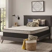 Sealy Essentials Peninsula 5.5" Medium Tight Top - Mattress Only