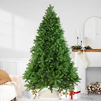 Northlight Full Noble Unlit 7 1/2 Foot Fir Christmas Tree