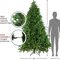 Northlight Full Noble Unlit 7 1/2 Foot Fir Christmas Tree