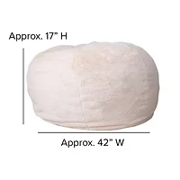 Duncan Furry Bean Bag Chair