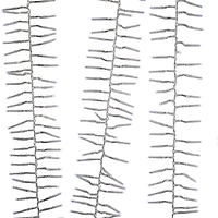 Kurt Adler 32.8-Foot White Led Cluster String Lights