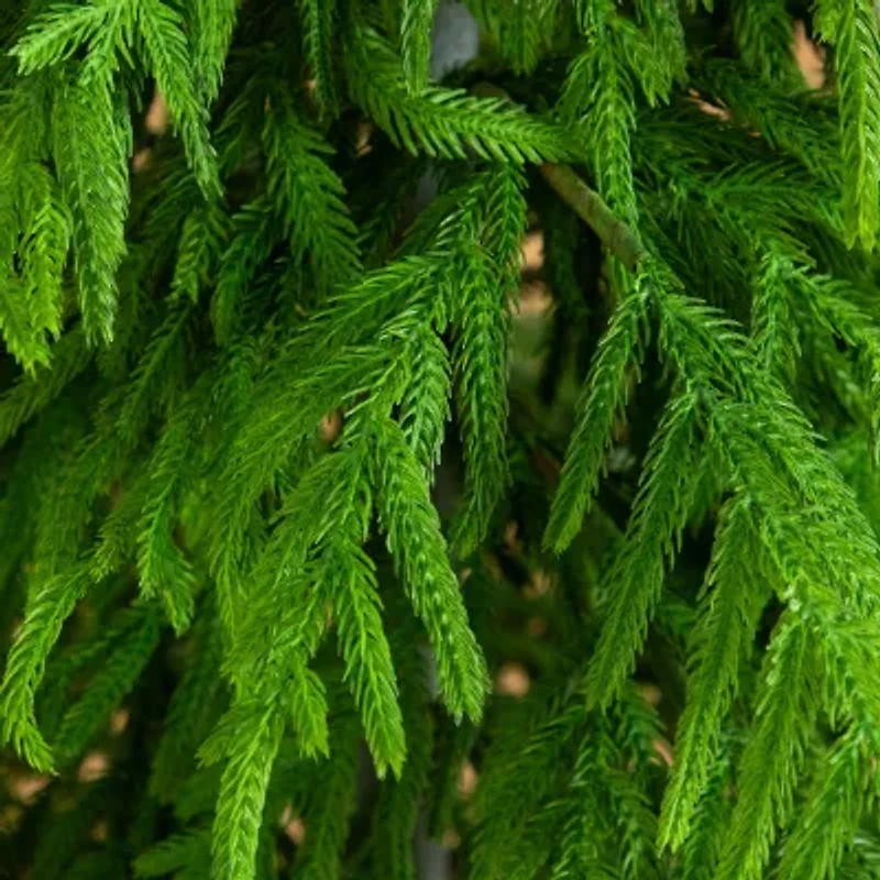 Nearly Natural 6 Foot Pine Christmas Tree
