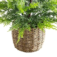 Nearly Natural Foot Pre-Lit Flocked Christmas Tree