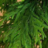 Nearly Natural 7 Foot Pine Christmas Tree