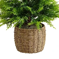 Nearly Natural 3 Foot Pre-Lit Flocked Christmas Tree