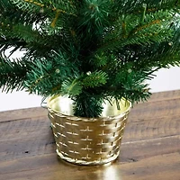 Nearly Natural 2 Foot Pre-Lit Timer Pine Christmas Tree