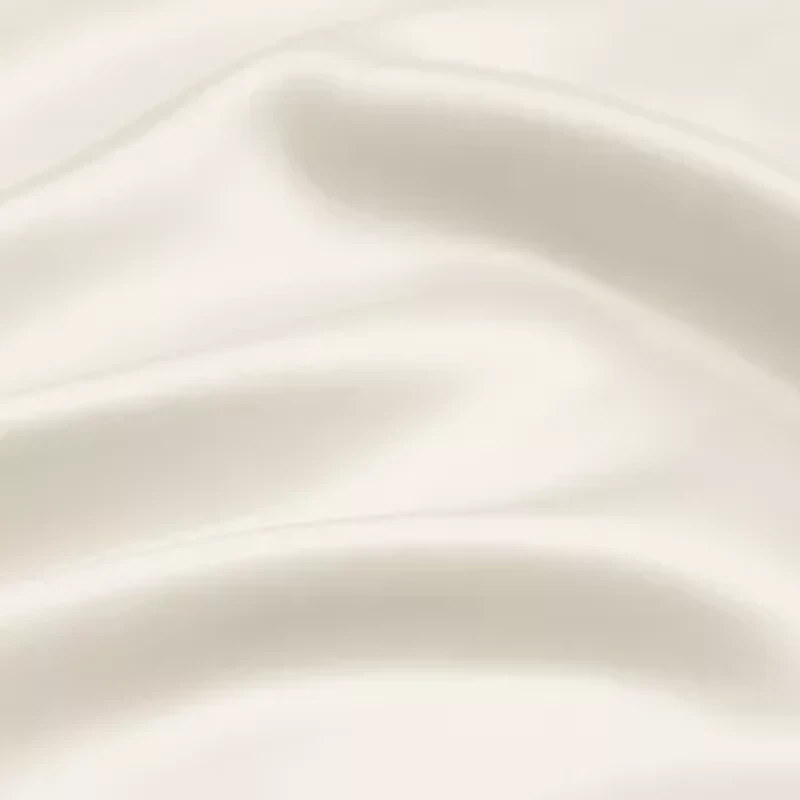 Casual Comfort Luxurious 100% Mulberry Silk Pillowcase