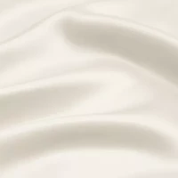 Casual Comfort Luxurious 100% Mulberry Silk Pillowcase