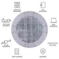 Safavieh Tucson Mary 6'X6' Indoor Round Area Rug
