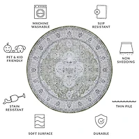 Safavieh Tucson Ara Indoor Round Area Rug