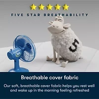 Serta Five Star Mattress 10" Plush Pillow Top - a Box